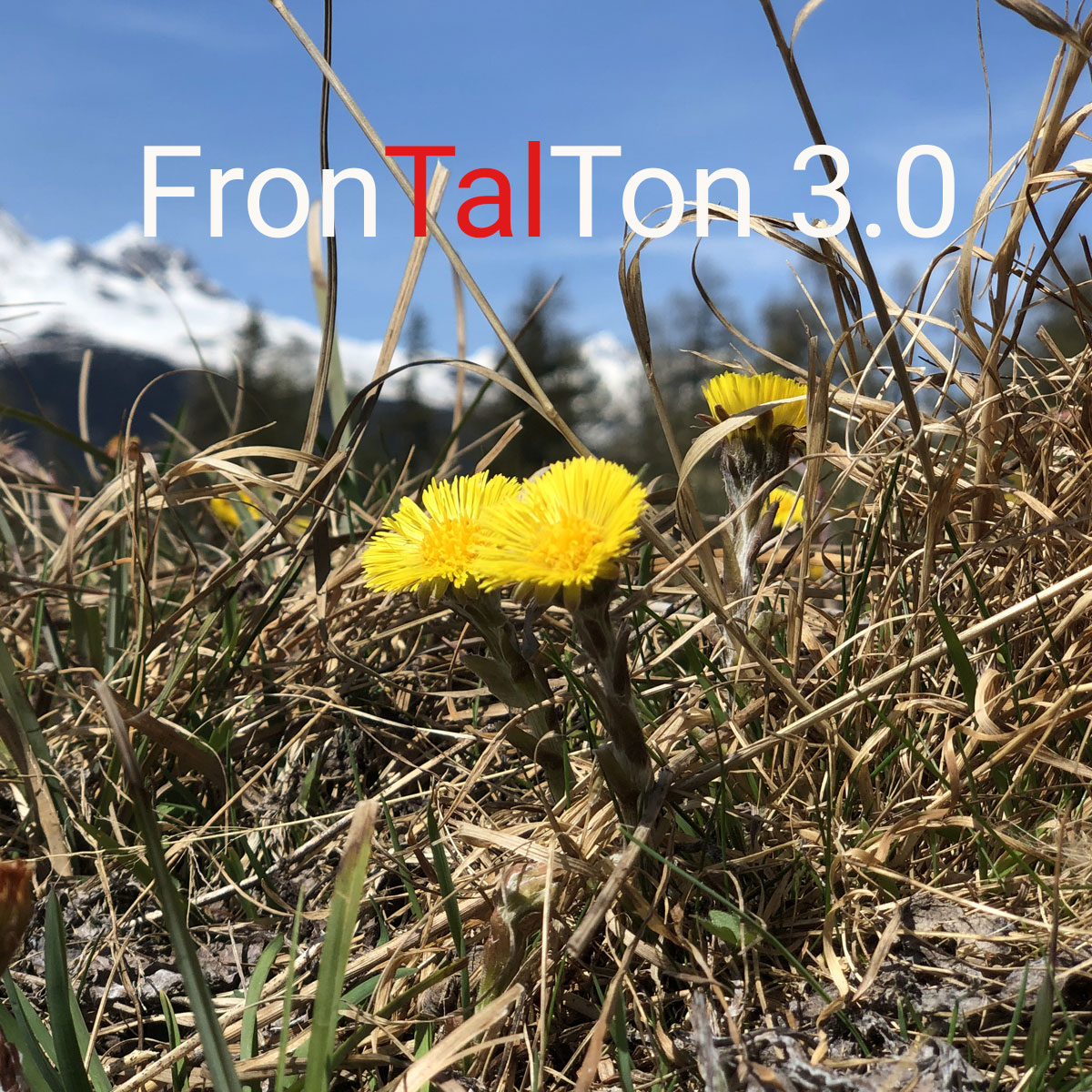 Read more about the article 13. November 2021<br/>FronTalTon 3.0 – MundArt im Duo